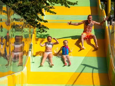 Thumbnail 3 van Pallegarste