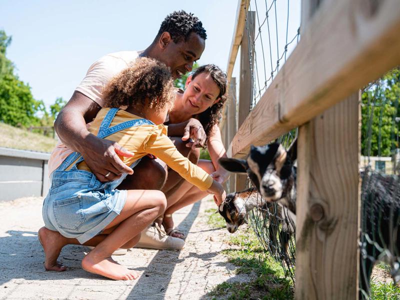 Hoofdfoto van Houtum