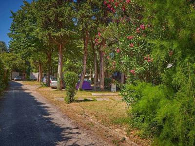 Thumbnail 2 van Les Avignon