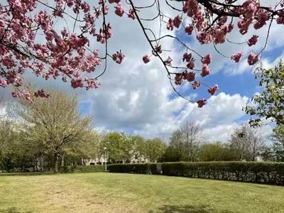 Thumbnail 5 van Park Beaufort