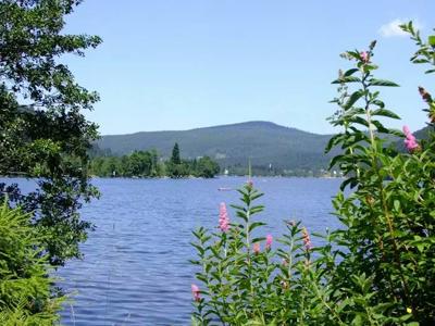 Thumbnail 5 van Verte Vallee