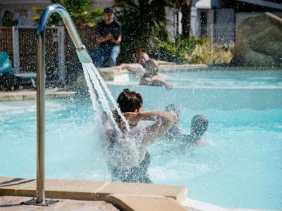 Thumbnail 4 van L'Arbre d'Or