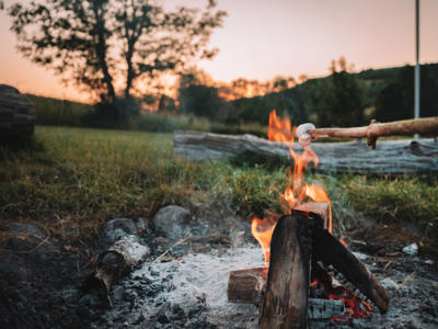 Thumbnail 5 van Donnersberg