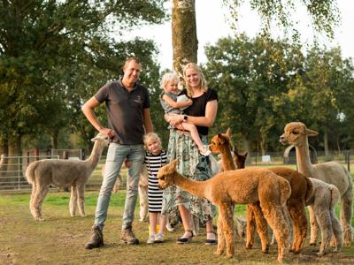 Alpaca Vorstenbosch Farmcamps