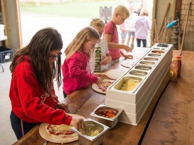 Thumbnail 4 van Alpaca Vorstenbosch Farmcamps