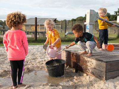 Thumbnail 5 van Alpaca Vorstenbosch Farmcamps