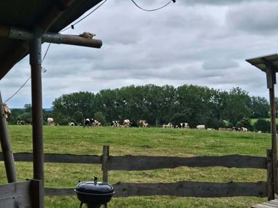 Thumbnail 4 van Des 2 Marguerites