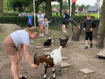 Thumbnail 5 van Emmen