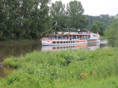 Thumbnail 5 van Sonnenwiese