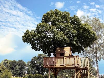 Thumbnail 3 van De Meibeek