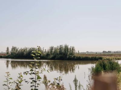 Thumbnail 5 van Roompot Park Veerse Kreek