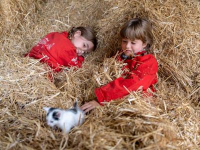 Thumbnail 4 van De Oostermaat Farmcamps