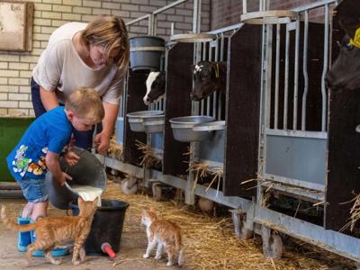 Thumbnail 5 van De Oostermaat Farmcamps