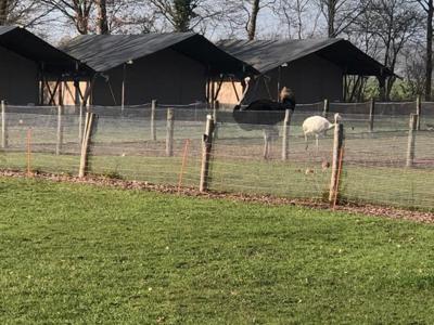 Thumbnail 4 van De Waterbuffelfarm