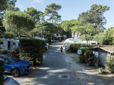 Thumbnail 5 van Bois Soleil