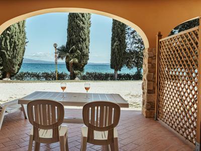 Thumbnail 5 van Zocco