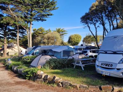 Thumbnail 2 van Eléovic