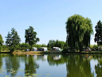 Thumbnail 3 van De Betuwse Hofjes