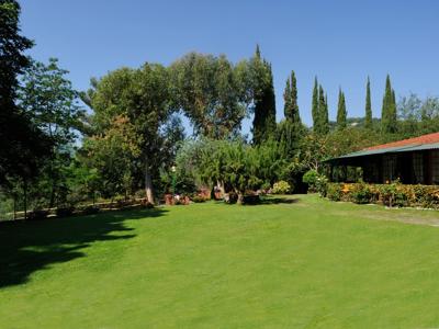 Thumbnail 5 van C'Era una Volta