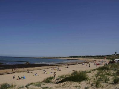 Thumbnail 5 van Les Gros Joncs