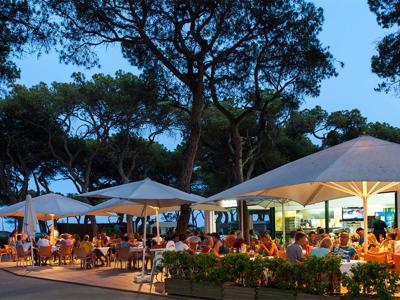 Thumbnail 4 van Alannia El Pinar