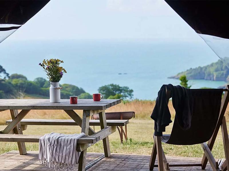 Hoofdfoto van BoerenBed Fountain Violet Farm