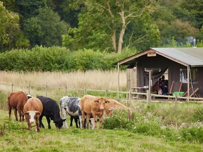 Thumbnail 5 van BoerenBed Heydon Grove Farm