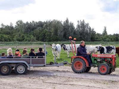 Thumbnail 2 van De Hinde