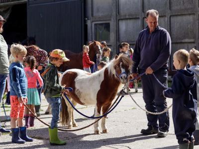 Thumbnail 4 van De Hinde