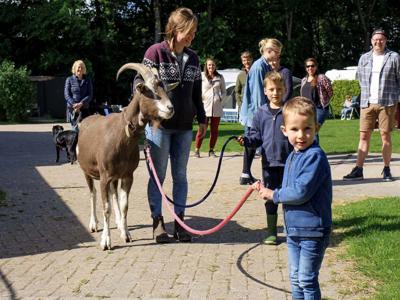 Thumbnail 5 van De Hinde