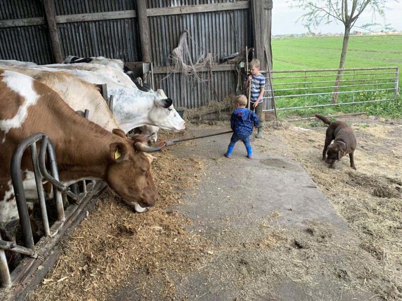 Hoofdfoto van Boerencamping Swarthoeve