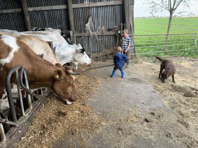 Boerencamping Swarthoeve