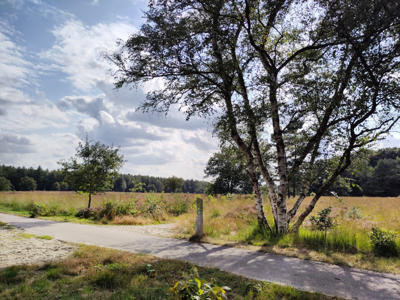 Thumbnail 3 van De Heerlijkheid Vorenseinde