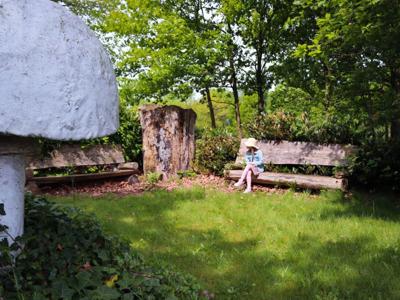 Thumbnail 5 van De Zwammenberg