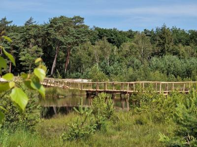 Thumbnail 4 van Mareveld