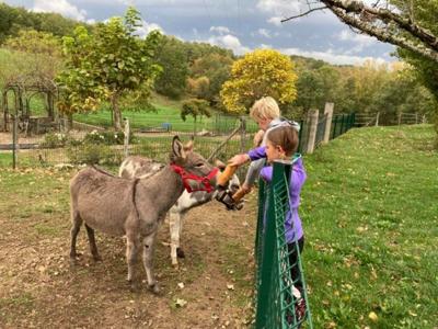 Thumbnail 4 van Fargogne