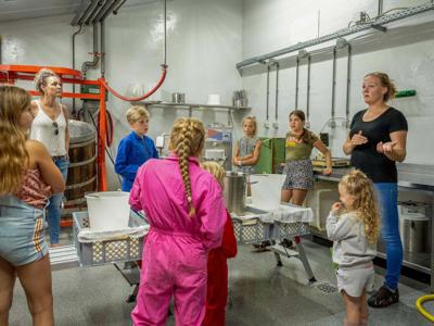 Thumbnail 3 van De Buitenhoeve Farmcamps