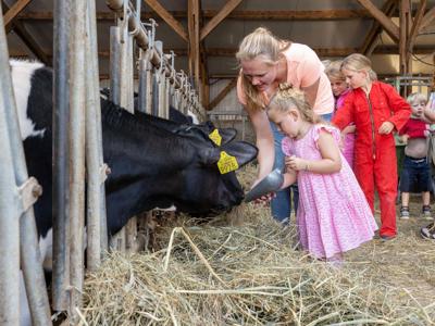 Thumbnail 4 van De Buitenhoeve Farmcamps