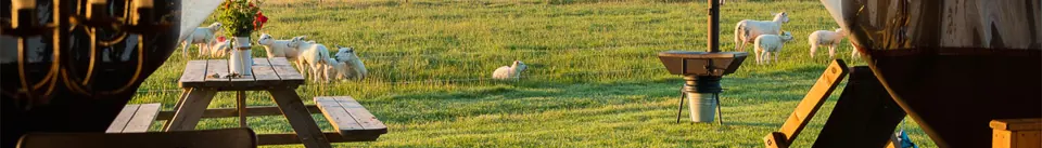 Aanbieding inspiratiebeeld