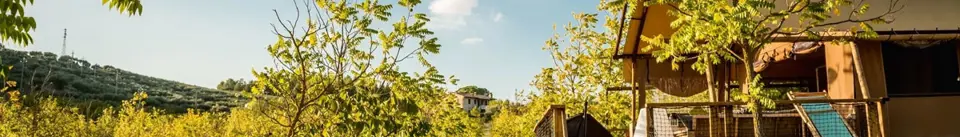 Aanbieding inspiratiebeeld