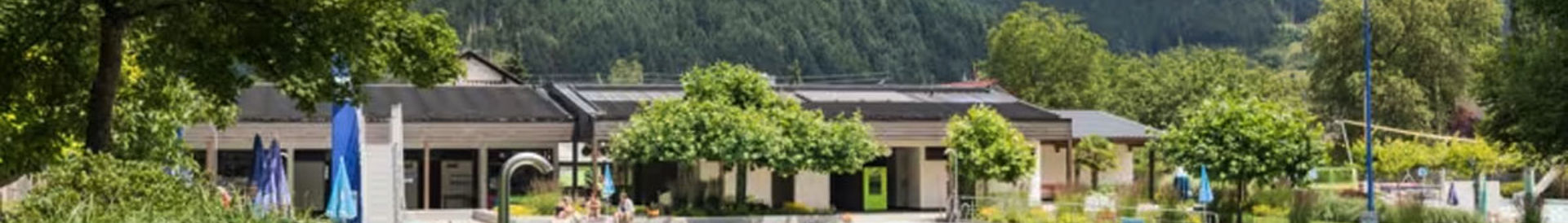 Baden-Württemberg / Zwarte Woud