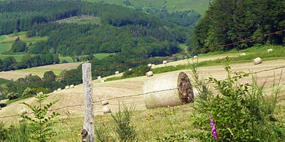 Kleine Groene Campings