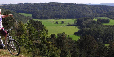 Top 10 bosrijke omgeving