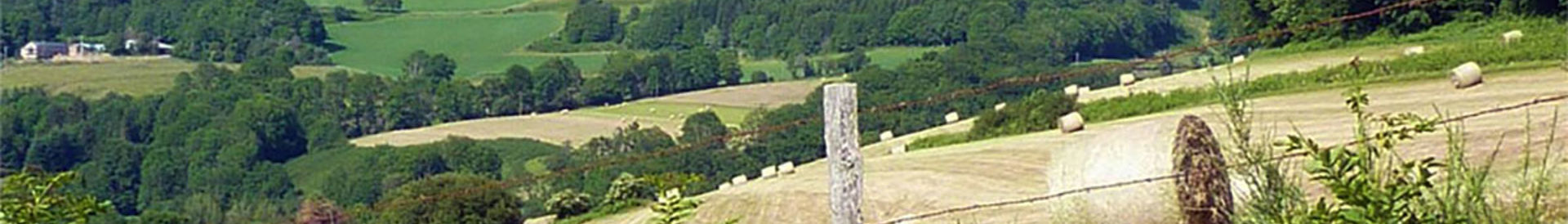 Kleine Groene Campings in Denemarken