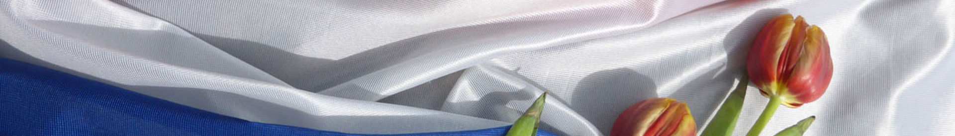 Nederlandse eigenaar of beheerder in Denemarken