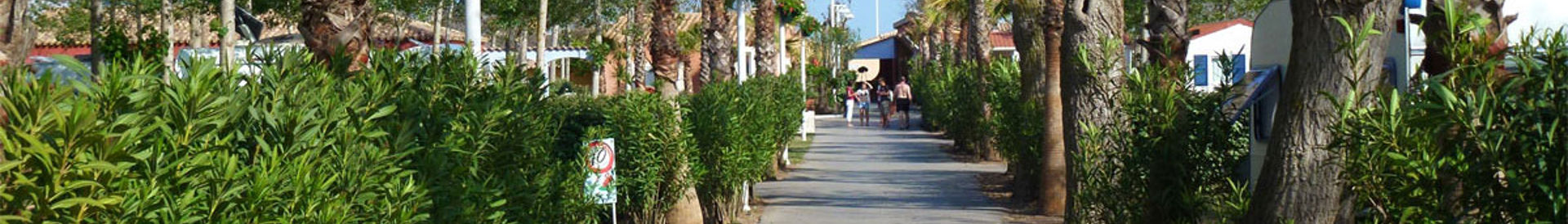 Staanplaatsen in Frankrijk