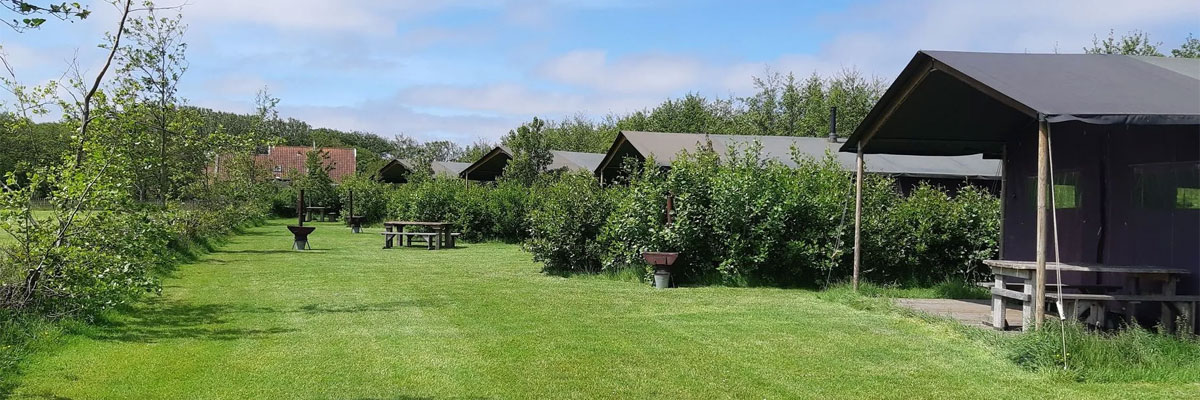 Boerderijcamping in regio Aquitaine / Les Landes