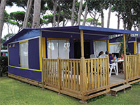 De Safari/Lodgetent van Go4Camp De Safari/Lodgetent van Go4Camp